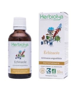 Echinacée (Echinacea angustifolia) - Macérat de plantes fraîches BIO, 50 ml